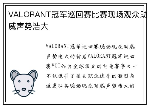 VALORANT冠军巡回赛比赛现场观众助威声势浩大